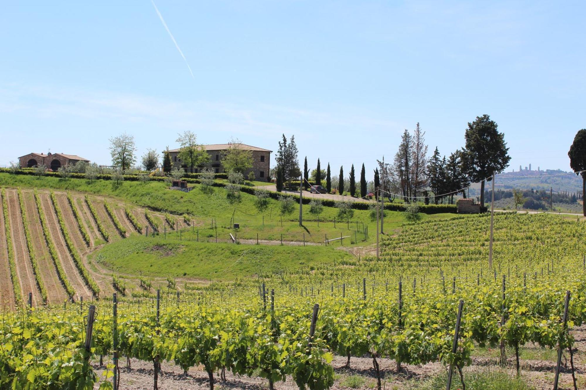 Agriturismo Macinatico ซานจีมิญญาโน ภายนอก รูปภาพ