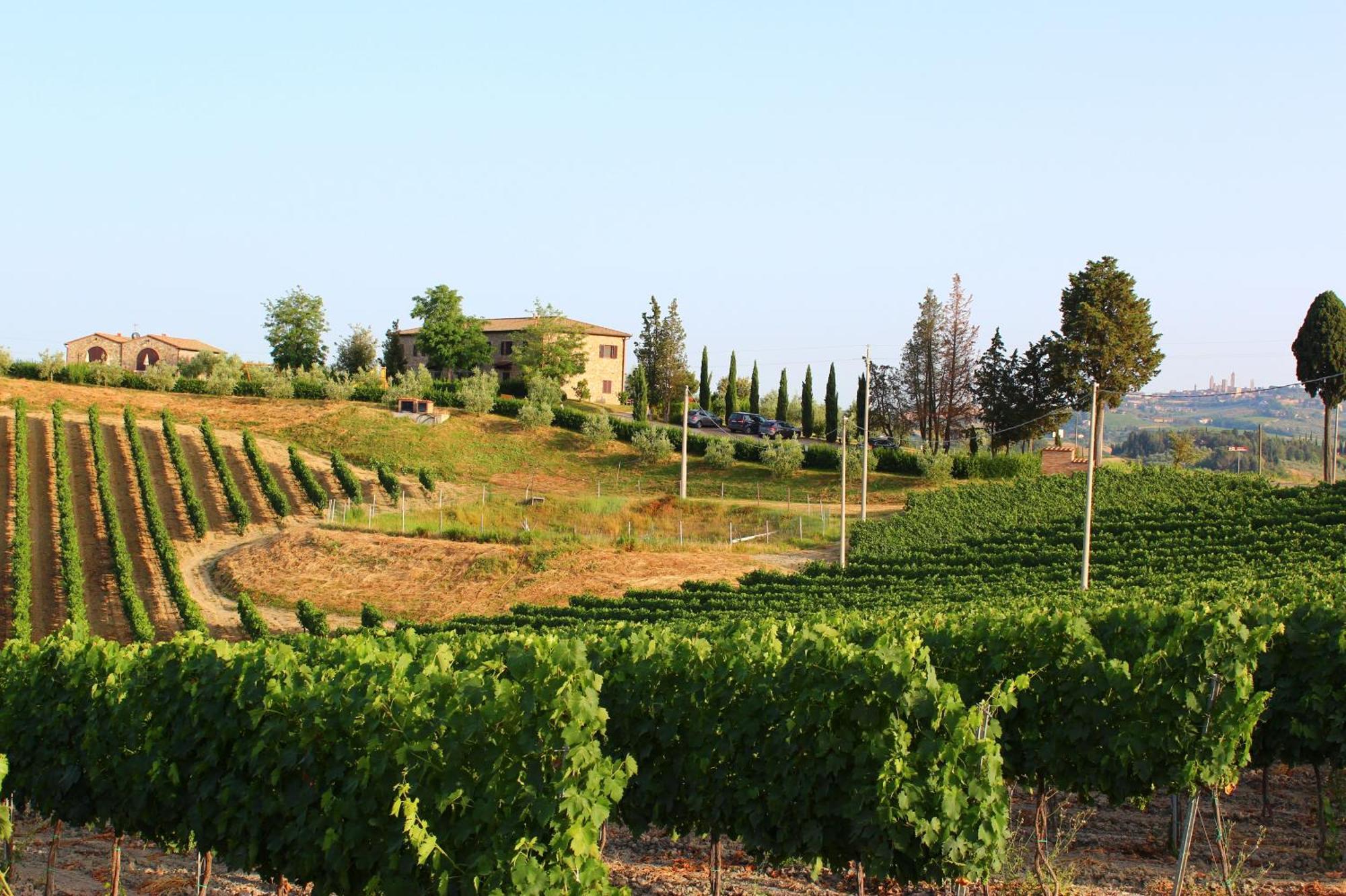 Agriturismo Macinatico ซานจีมิญญาโน ภายนอก รูปภาพ